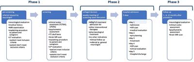 Focused ultrasound therapy in movement disorders: management roadmap toward optimal pathway organization
